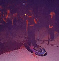 kapper05.gif (33854 bytes)