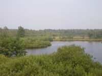 De Liereman