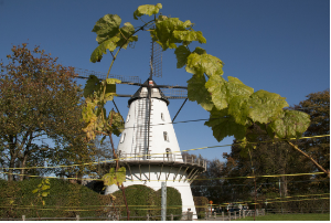 molen
