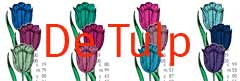 Tulpenwandeling in Antwerpen
