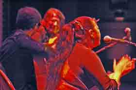 Concert Myrddin